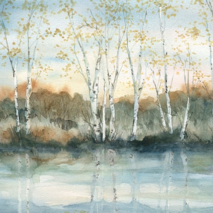 Picture of BIRCH RIVERBANK