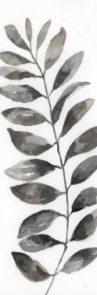 Picture of NATURAL LEAF II