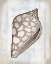 Picture of OCEAN CONE I