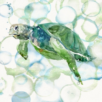 Picture of TURTLE BUBBLES II