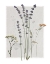 Picture of FIELD STUDY PAGE I