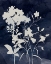 Picture of INDIGO BOTANICAL II REVISITED