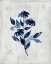 Picture of WILD INDIGO I