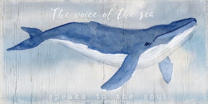 Picture of VOICE OF THE SEA