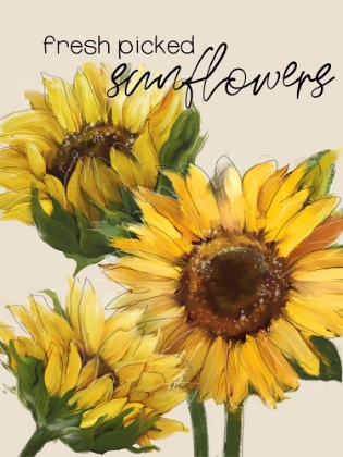 Picture of FRESH PICKED SUNFLOWERS