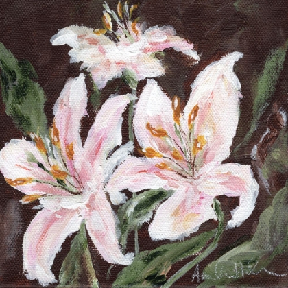 Picture of STARGAZER LILY TRIO