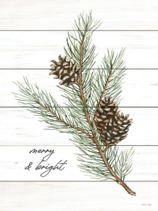Picture of MERRY AND BRIGHT PINE CONES