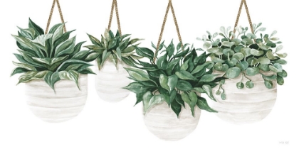 Picture of HANGING PLANTS