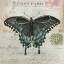 Picture of POSTCARD BUTTERFLY III