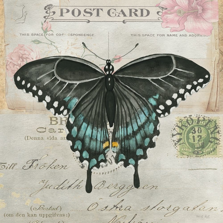 Picture of POSTCARD BUTTERFLY III
