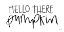 Picture of HELLO THERE PUMPKIN