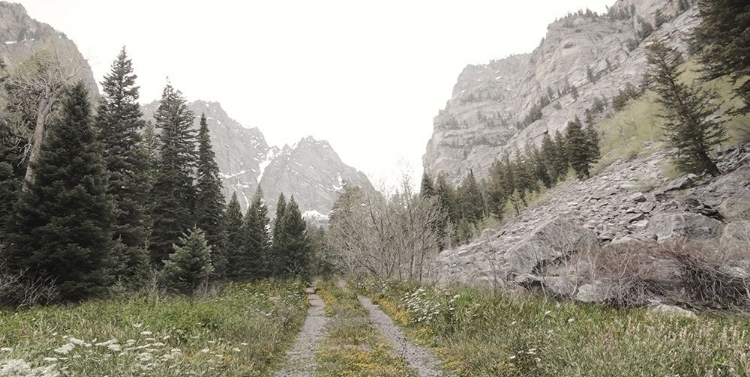 Picture of ROAD TO TETONS