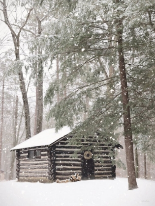 Picture of CABIN FEVER