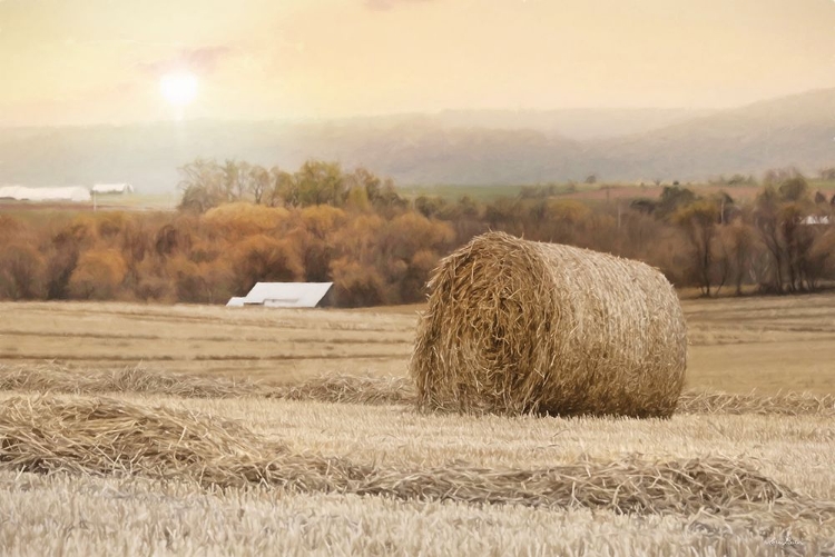 Picture of GOLDEN COUNTRY SUNRISE