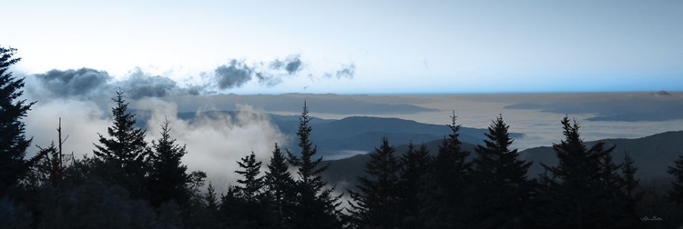 Picture of CLOUDS IN THE TREES