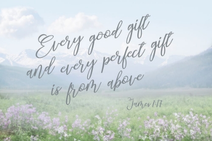 Picture of EVERY GOOD AND PERFECT GIFT