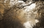Picture of MORNING RAYS AT SWATARA CREEK