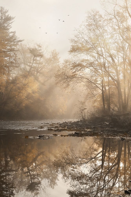 Picture of GOLD REFLECTIONS