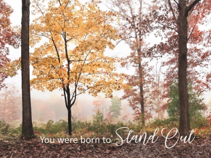 Picture of YOU WERE BORN TO STAND OUT