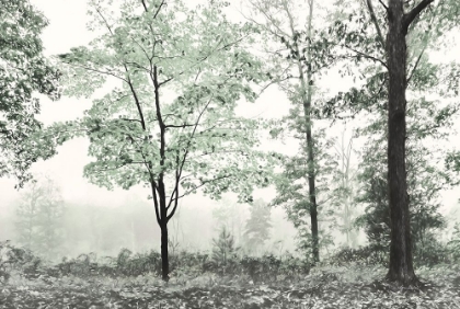 Picture of THREE TREES