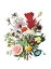 Picture of FLOURISHING FLORAL