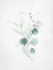 Picture of LEAFY RETREAT 2