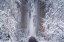 Picture of WHITE VIGNETTE 