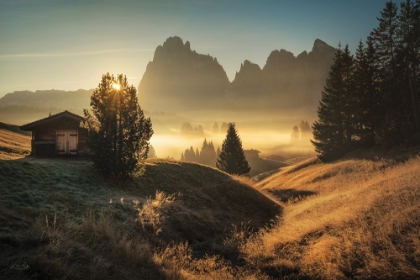Picture of MORNING IN ITALY COUNTRYSIDE 