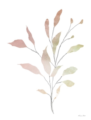 Picture of WATERCOLOR BRANCH 1