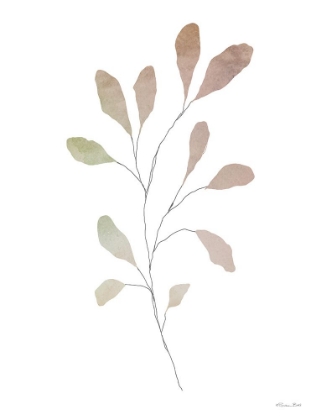 Picture of WATERCOLOR BRANCH 2