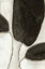 Picture of LEAVES LIKE II