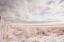 Picture of ATLANTIC COAST AFTERNOON SOFT