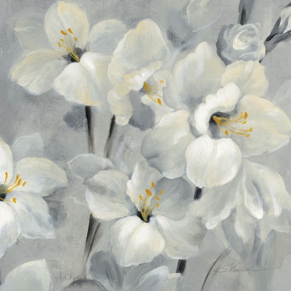 Picture of FLOWERS ON GRAY II