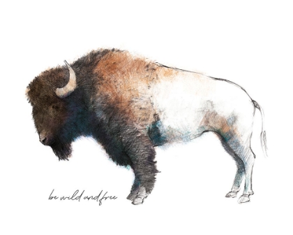 Picture of WILD COLORFUL BISON DARK BROWN