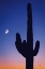 Picture of CANDY ROCK DESERT