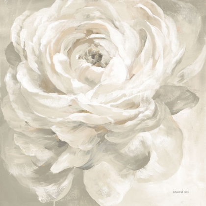 Picture of WHITE ROSE GRAY