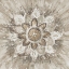Picture of SPICE MANDALA NEUTRAL
