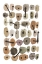 Picture of MID CENTURY II WARM NEUTRAL VERTICAL