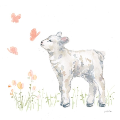 Picture of SPRING LAMB IV