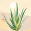 Picture of DESERT GREENHOUSE V