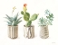 Picture of DESERT GREENHOUSE IX