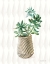 Picture of DESERT GREENHOUSE X