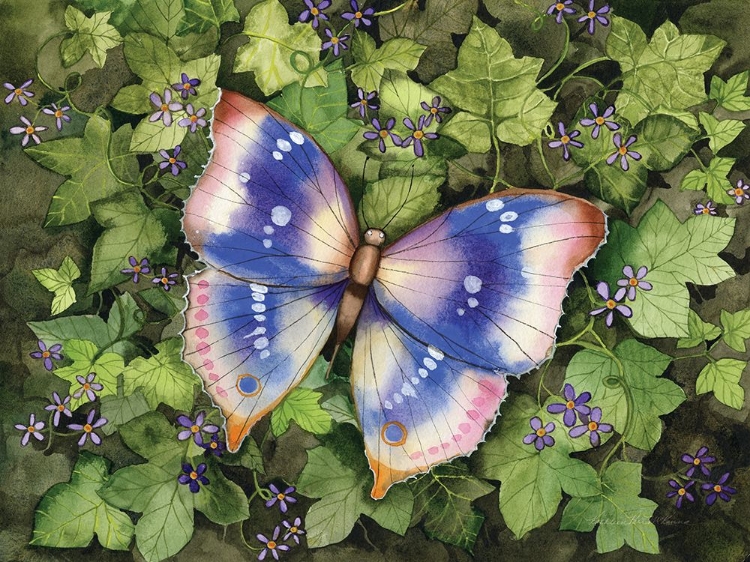 Picture of GARDEN BUTTERFLY