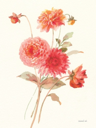 Picture of SUMMER DAHLIAS I