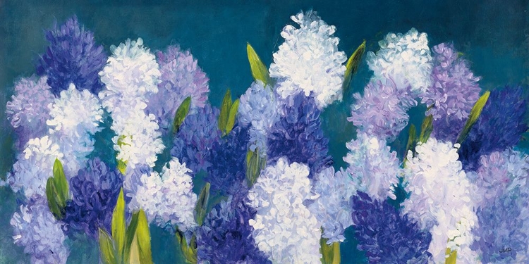Picture of BOLD HYACINTH CROP