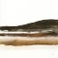 Picture of MARSH I
