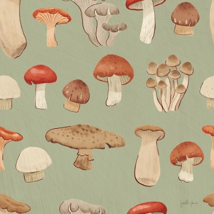 Picture of MUSHROOM MADNESS PATTERN IIID