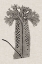 Picture of CUSTOM FERN FAMILY V (LG)