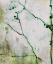 Picture of SPRINGTIME