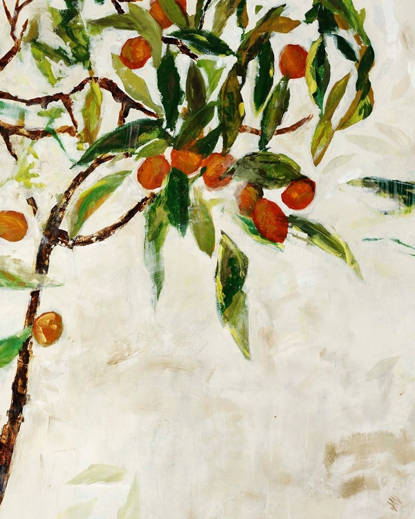 Picture of KUMQUAT TREE